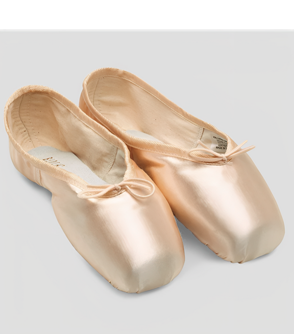 Pointes Héritage Chaussons de Danse Bloch S0180L