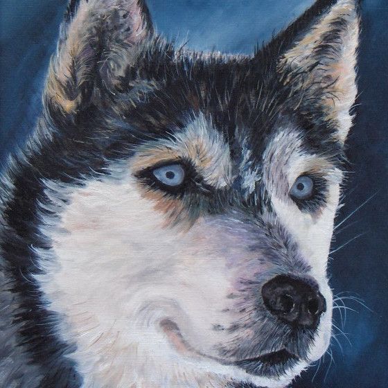 Chiens - Aurore Collard