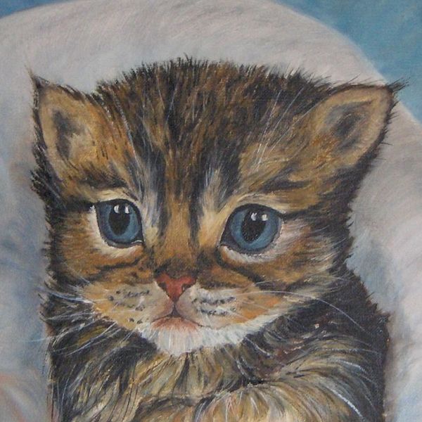 Le chaton - Peinture à l’huile - Aurore Collard