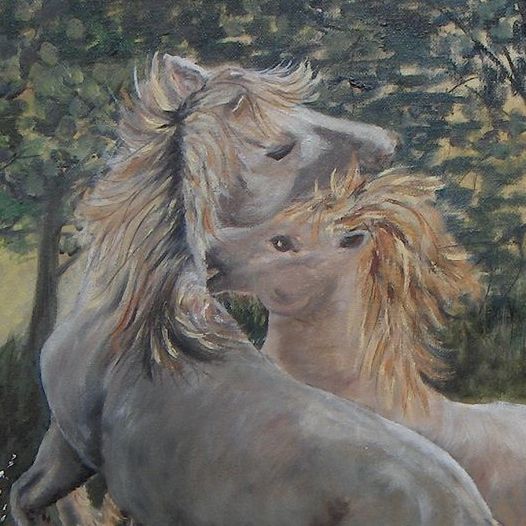 Animaux divers - Aurore Collard