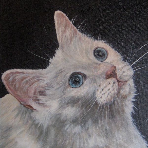 Chats - Aurore Collard