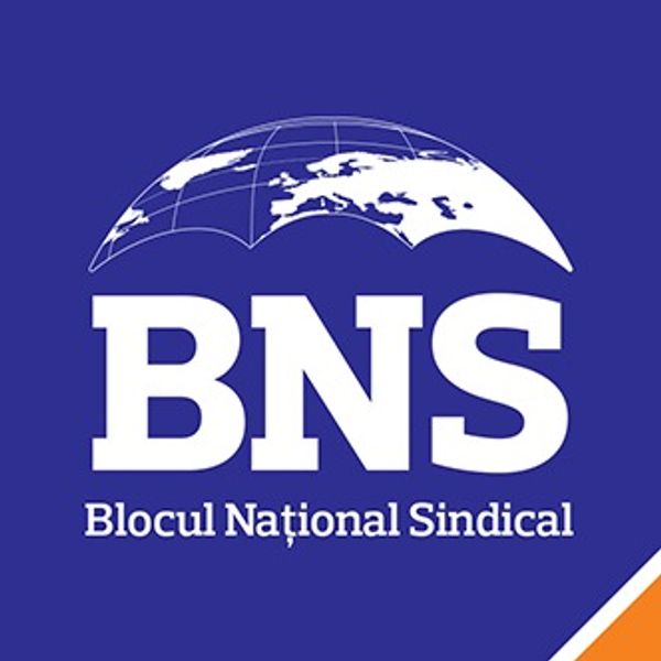 Logo Blocul Național Sindical