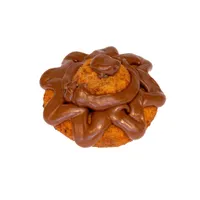 Productminiatuur